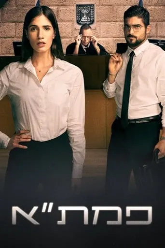 PMTA TV series poster - Rated 9.5/10