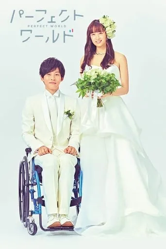 Perfect World TV series poster - Rated 8.8/10