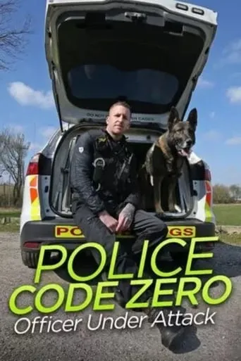 Police Code Zero: Officer Under Attack TV series poster - Rated 8/10
