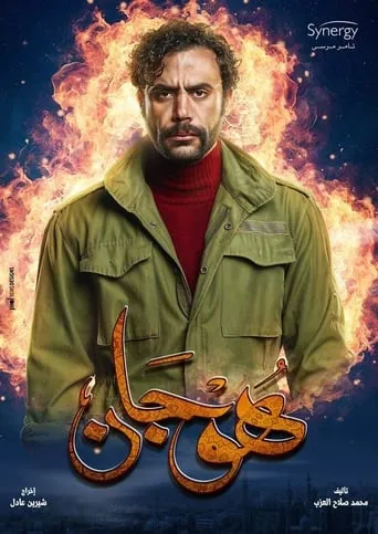 Hogan TV series poster - Rated 8/10