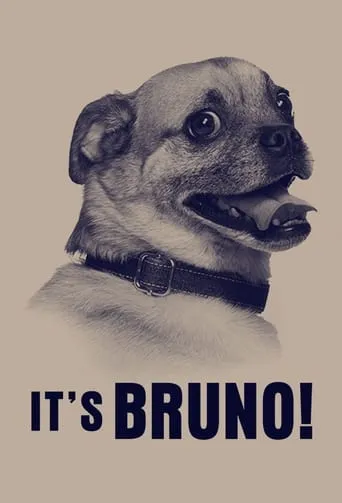 It's Bruno! TV series poster - Rated 6.9/10