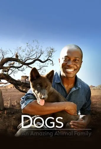 Dogs: An Amazing Animal Family TV series poster - Rated 8/10