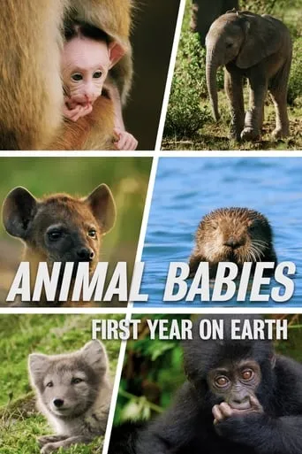 Animal Babies: First Year On Earth TV series poster - Rated 9/10