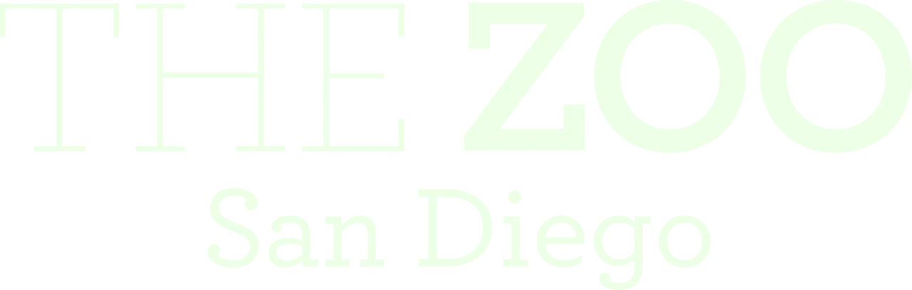 The Zoo: San Diego