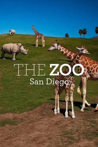 The Zoo: San Diego TV series poster - Rated 10/10