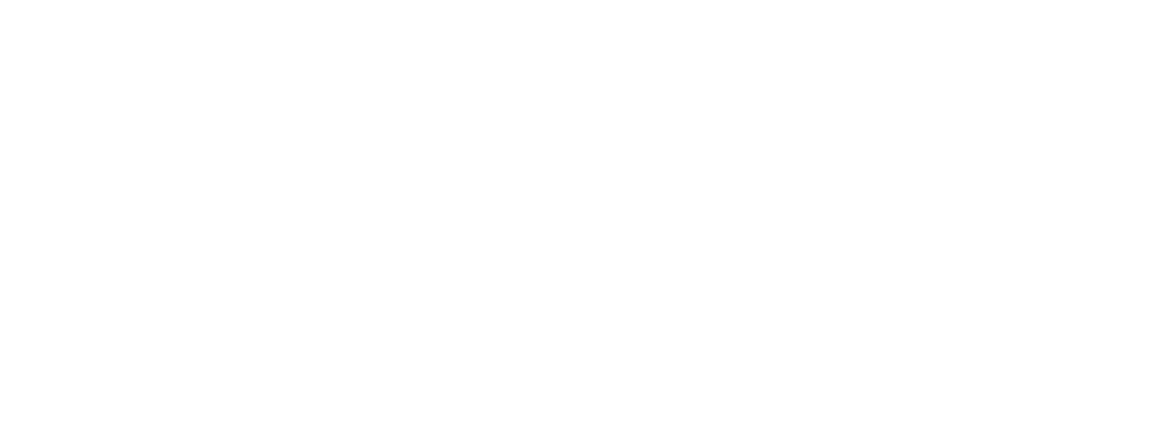 Wild Yellowstone