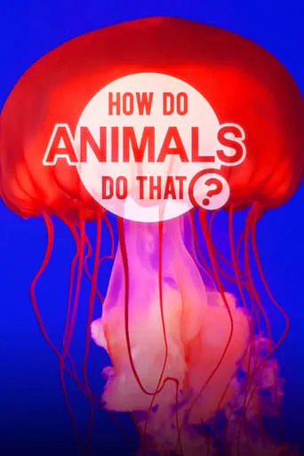 How Do Animals Do That? TV series poster - Rated 8/10
