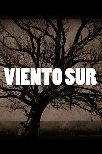 Viento Sur TV series poster - Rated 6.5/10