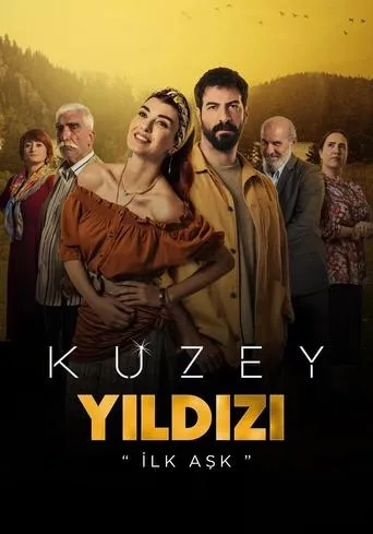 Kuzey Yıldızı: İlk Aşk TV series poster - Rated 8.1/10