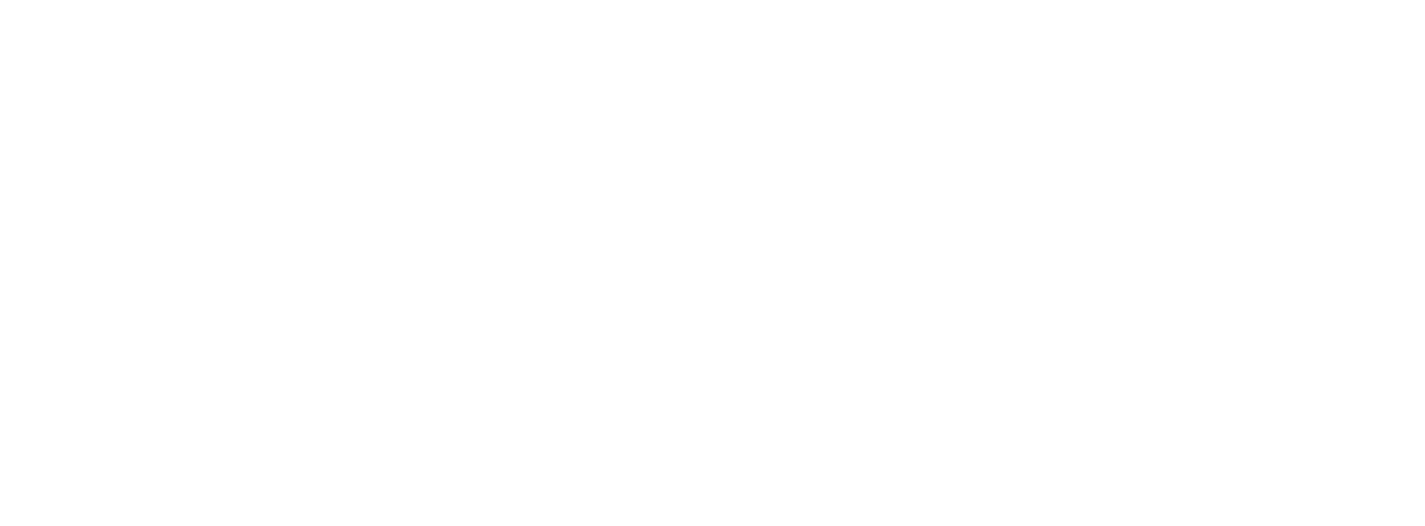 The Flight Attendant