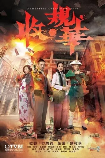 Momentary Lapse Of Reason TV series poster - Rated 8/10
