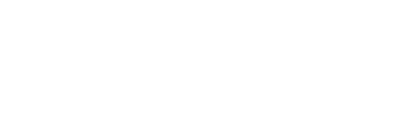 The Slavs