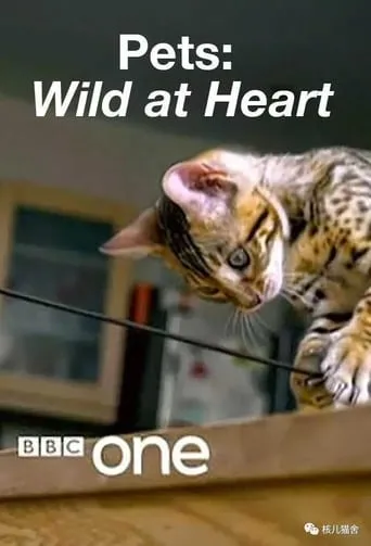 Pets: Wild at Heart TV series poster - Rated 7/10