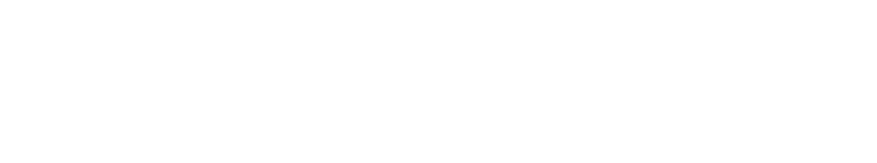 The Equalizer