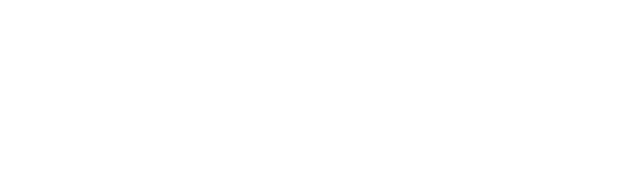 The Peripheral