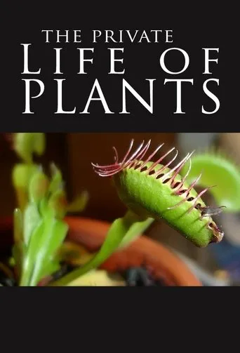 The Private Life of Plants TV series poster - Rated 8.875/10