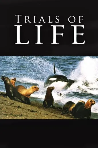 Trials of Life TV series poster - Rated 8.4/10