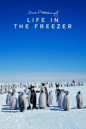Life in the Freezer TV series poster - Rated 8.3/10