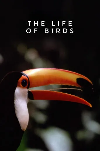 The Life of Birds TV series poster - Rated 8/10