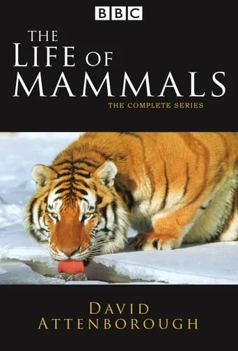 The Life of Mammals TV series poster - Rated 8.3/10