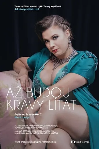 Jak si nepodělat život TV series poster - Rated 6.5/10