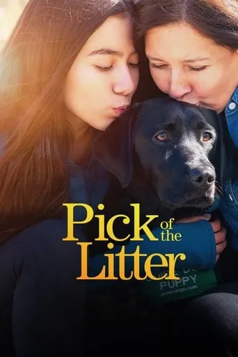 Pick of the Litter TV series poster - Rated 7.05/10
