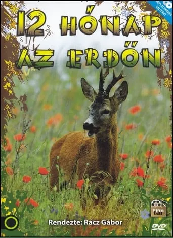 12 hónap az erdőn TV series poster - Rated 10/10
