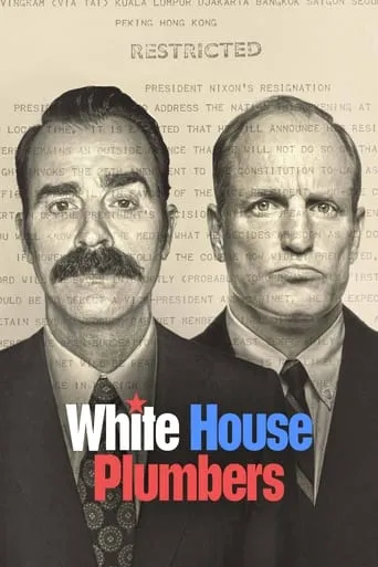 White House Plumbers TV series poster - Rated 6.3/10