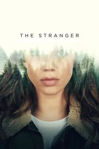 The Stranger TV series poster - Rated 7.152/10