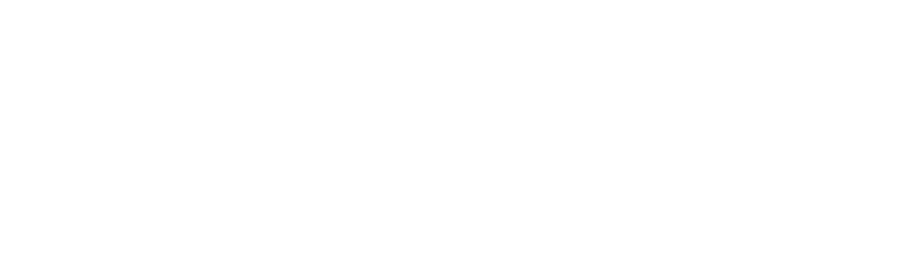 My Home My Destiny