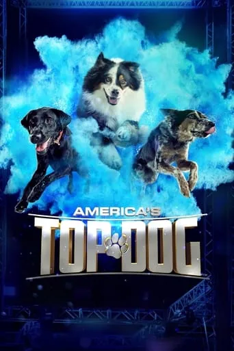 America's Top Dog TV series poster - Rated 9.2/10