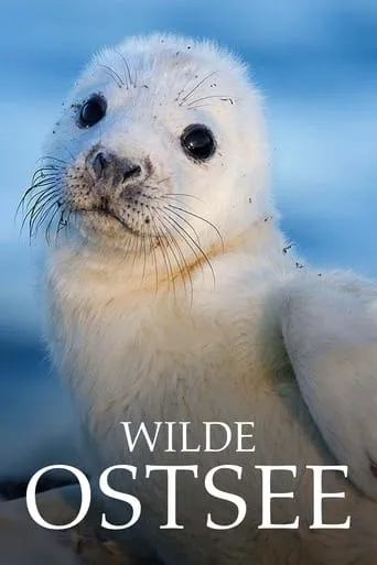 Wilde Ostsee TV series poster - Rated 8/10