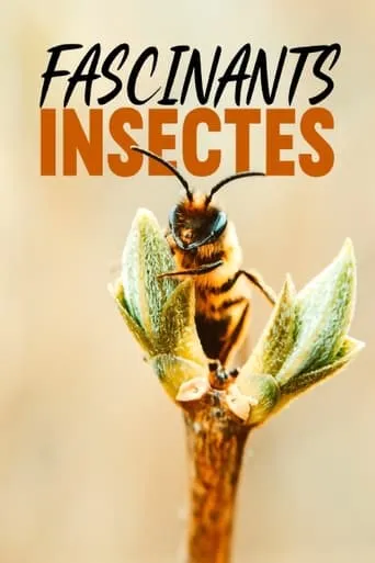 Fascinants insectes TV series poster - Rated 7/10