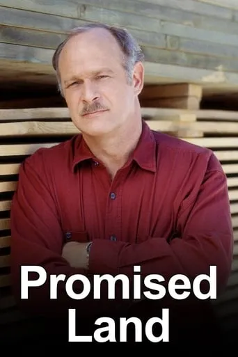 Promised Land TV series poster - Rated 6.6/10