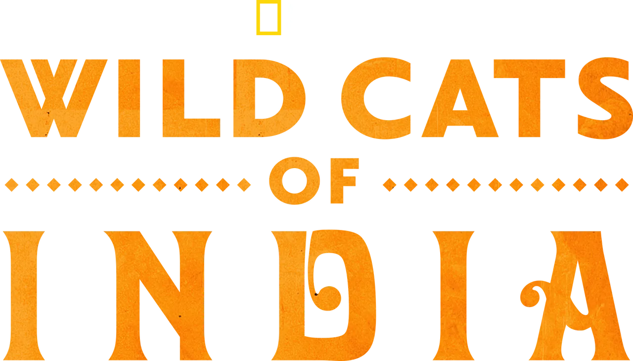 Wild Cats of India