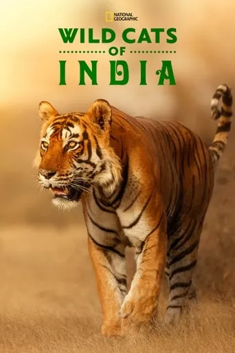 Wild Cats of India TV series poster - Rated 7.3/10